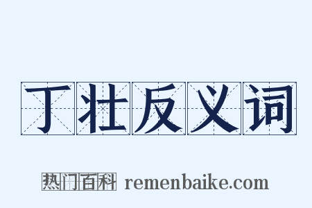 丁壮反义词是什么意思的图片